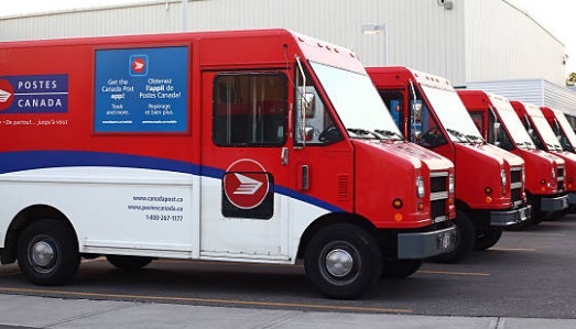 FAST Shipping ! FAST Shipping !